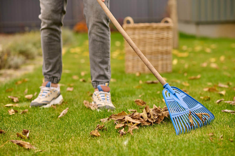 a man cleaning the yard during fall